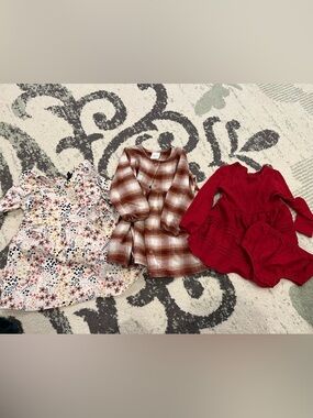 18M Long Sleeved Dress Bundle